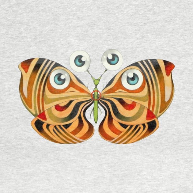 four eyes butterfly by federicocortese